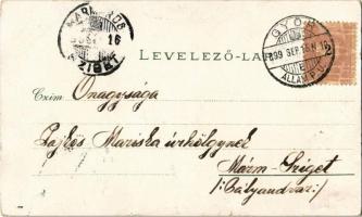 1899 Győr, M. kir. állami tanítónőképző intézet, urak. Art Nouveau, floral, litho (szakadás / tear)