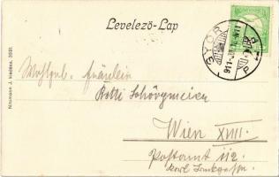 1911 Győr, Waggongyár (vagon gyár), iparvasút. Nitsmann J. kiadása