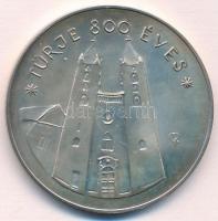 Szabolcs Péter (1942-) 1987. "MÉE Zala Megyei Szervezete / Türje 800 éves" Ag emlékérem (3...