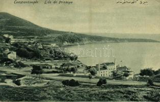 1919 Constantinople, Istanbul, Stamboul; Lile de Prinkipo / Büyükada island