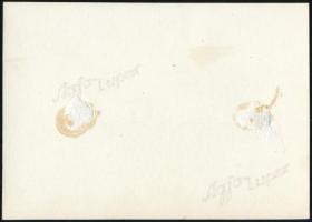 cca 1930 Kinszki Imre (1901-1945) budapesti fotóművész hagyatékából, jelzés nélküli, vintage fotó (Ö...