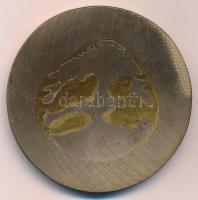 DN "Erkel Diákünnepek - Gyula" Br emlékérem. Szign.: KL (65mm) T:2 hátoldalán ragasztónyom