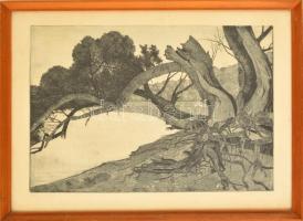 Nyári Lóránt (1928-1982): Horányi sziget. Rézkarc, papír, jelzett, üvegezett keretben, 33×50 cm