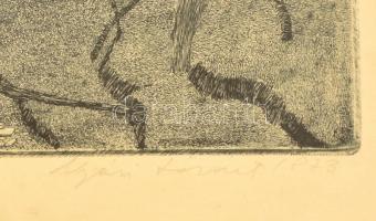 Nyári Lóránt (1928-1982): Horányi sziget. Rézkarc, papír, jelzett, üvegezett keretben, 33×50 cm