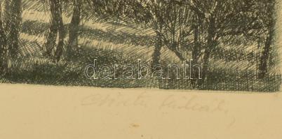 Csisztu Mihály (1933-2008): Buda. Rézkarc, papír, jelzett, üvegezett keretben, 27,5×39 cm