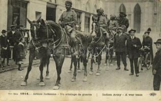 1915 Armée Indienne, Un attelage de guerre / Indian Army, A war team, cavalry