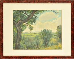 Veltey jelzéssel: Dombos táj. Tempera, papír, üvegezett keretben, 25,5×31,5 cm