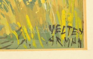 Veltey jelzéssel: Dombos táj. Tempera, papír, üvegezett keretben, 25,5×31,5 cm