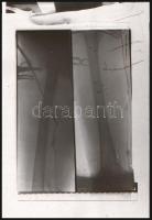 cca 1930 Orvosi röntgenfelvételek, 8 db vintage negatív Fekete György (1904-1990) budapesti fényképé...