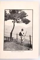 Szeghalmy Gyula: Dunántúli vármegyék. Az előszót írta József Főherceg. A II. részben Győr vármegye k...