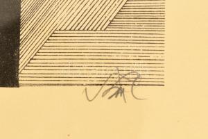 Szász Endre (1926-2003): Paradicsommadár. Szitanyomat, papír, jelzett, üvegezett keretben, 34×40 cm