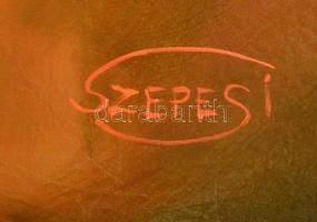 Szepesi Andor (1954-): Akt. Olaj, farost, jelzett, keretben, 40×80 cm