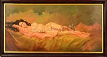 Szepesi Andor (1954-): Akt. Olaj, farost, jelzett, keretben, 40×80 cm