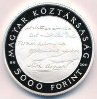 2011. 5000Ft Ag "Tóth Árpád" tanúsítvánnyal T:PP Adamo EM238