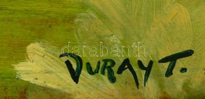 Duray jelzéssel: Szabadban. Olaj, farost, foltos, 46×61 cm