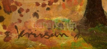 Krizsán jelzéssel: Fák a tó partnál. Olaj, vászon, foltos, hibás keretben, 39×49 cm