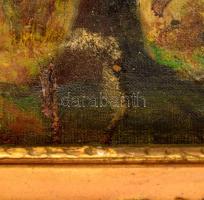 Krizsán jelzéssel: Fák a tó partnál. Olaj, vászon, foltos, hibás keretben, 39×49 cm