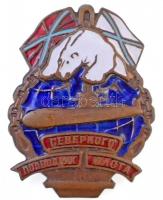 Oroszország DN Északi Flotta Tengeralattjáró jelvény zománcozott fém jelvény (35x45mm) T:2 sérült zománc Russia ND Northern Fleet Submarine Badge enamelled metal badge (35x45mm) C:XF damaged enamell