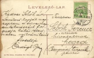 1913 Kisújszállás, Erzsébet liget, park. Kiadja Witz Márton 830. + "KOLOZSVÁR - BUDAPEST B 298....