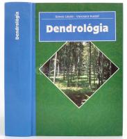 Dr. Gencsi László-Dr. Vacsura Rudolf: Dendrológia. Erdészeti növénytan. II. köt. Bp.,1992, Mezőgazda Kiadó. Kiadói kartonált papírkötés.