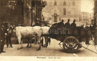 Perugia, Carro con buoi / ox cart