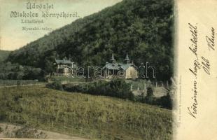 1900 Lillafüred (Miskolc), nyaralótelep, villák. Lövy József fia kiadása 771.