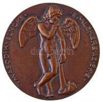 Berán Lajos (1882-1943) 1926. "gr. Batthyány Vilmos" Br plakett, Éremkedvelők Egyesületéne...