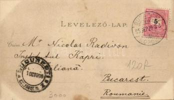 1895 (Vorläufer!!!) Budapest, Királyi vár és várbazár, Lánchíd. Ottmar Zieher Art Nouveau, floral, l...