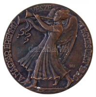 Boldogfai Farkas Sándor (1907-1970) 1939. "A Felvidék visszacsatolásának emlékére / A Magyar Ér...