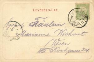 1904 Lőcse, Levoca; régi körfal. Kiadja Latzin János / Leutschauer alte Stadtmauer / old city wall (...