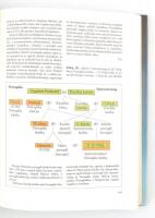 Hamann, Brigitte: Habsburg Lexikon. Bp., Új Géniusz Kiadó. Habsburg Ottó által DEDIKÁLT! Kiadói műbő...