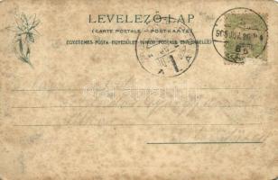 1904 Tátra, Magas Tátra, Vysoké Tatry; Tengerszem a Dénes és Tengerszem csúcsókkal. Kiadja Feitzinge...