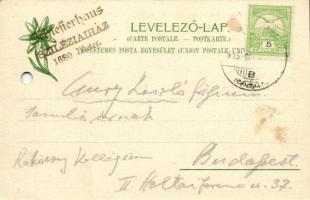 1915 Tátra, Magas Tátra, Vysoké Tatry; Felkai tó a sziléziai ház felé. Kiadja Feitzinger Ede 766. 19...