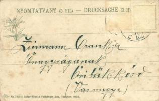 Tátra, Magas Tátra, Vysoké Tatry; Zöld-tó. Kiadja Feitzinger Ede No. 792. 1905. / Grüner See / Zelen...