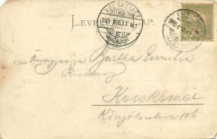 1905 Újtátrafüred, Neu-Schmecks, Novy Smokovec (Tátra, Magas Tátra, Vysoké Tatry); üzlet, kávéház, s...