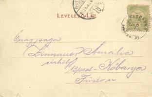 1903 Zólyom, Zvolen; vár. Kiadja Özv. Löwy Samuné / Zvolensky hrad / castle (szakadások / tears)