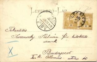 1900 Savnik, Schavnyik, Spissky Stiavnik; Thököly várkastély. Myskovszki Viktor kiadása / castle