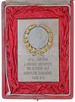 1960. Antal Mártának a Rómában megtartott XVII. Olympián való szereplése alkalmából Vasas S.C. egyoldalas fém plakett, eredetit tokban (119x82mm) T:1-