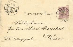 1898 Kassa, Kosice; látkép. Kiadja Vitéz A. / general view. Floral (EB)
