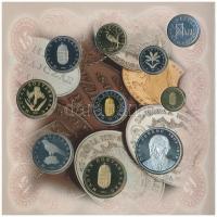 1998. 50f-200Ft (10xklf) forgalmi sor dísztokban + 1998. 100Ft alpakka "1848-1849. Szabadsághar...