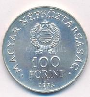1972. 100Ft Ag "Budapest" T:BU 
Adamo EM40