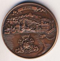 1990. "Pápa" Br emlékérem T:1