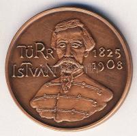 1988. "Türr István-Baja" Br emlékérem T:2