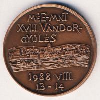 1988. "Türr István-Baja" Br emlékérem T:2