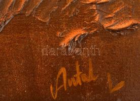 Antal jelzéssel: Tóparti tájkép fákkal, olaj, farost, fakeretben, 26×38 cm