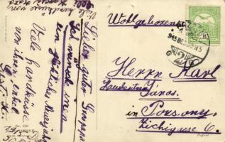 Herzliche Neujahrsgrüße! / Children New Year's art postcard. M. Munk Vienne Nr. 550.  s: Pauli ...