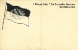 1936 A Magyar-Óvári (magyaróvári) M. kir. Gazdasági Akadémia atlétikai clubja / Flag of MOGAAC, a Hungarian athletic club