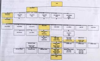 cca 1850-1950 Családtörténeti kutatási anyag. A Laky és Massek család leszármazása, családfák, anyak...