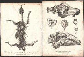 cca 1840 15 db metszet és litográfia klf témákkal