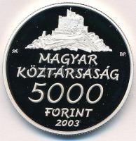 2003. 5000Ft Ag "Hollókő" T:PP Adamo EM185